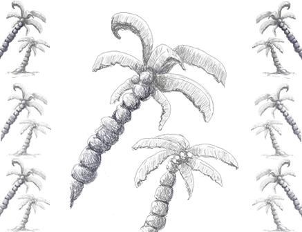 >Palm Trees - Island Life - Tranquilo